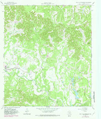Download a high-resolution, GPS-compatible USGS topo map for Rock Cliff Reservoir, TX (1982 edition)