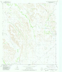 Download a high-resolution, GPS-compatible USGS topo map for Rock House Draw NE, TX (1980 edition)