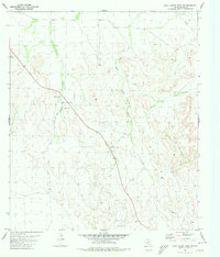Download a high-resolution, GPS-compatible USGS topo map for Rock House Draw NW, TX (1980 edition)