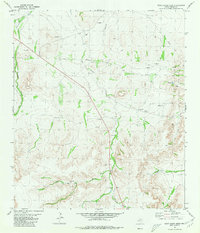 Download a high-resolution, GPS-compatible USGS topo map for Rock House Draw, TX (1980 edition)