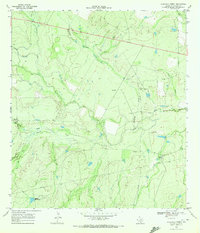 Download a high-resolution, GPS-compatible USGS topo map for Rockaway Creek, TX (1972 edition)