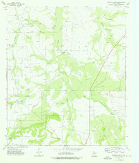 preview thumbnail of historical topo map of Irion County, TX in 1973