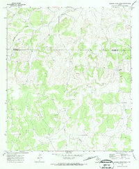 preview thumbnail of historical topo map of Schleicher County, TX in 1970