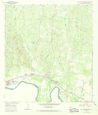 Download a high-resolution, GPS-compatible USGS topo map for Roma-Los Saenz East, TX (1968 edition)