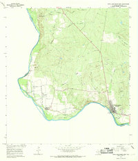 Download a high-resolution, GPS-compatible USGS topo map for Roma-Los Saenz West, TX (1969 edition)