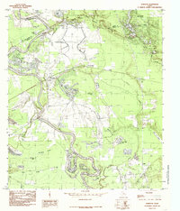 Download a high-resolution, GPS-compatible USGS topo map for Romayor, TX (1985 edition)