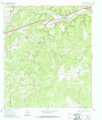 Download a high-resolution, GPS-compatible USGS topo map for Roosevelt, TX (1987 edition)