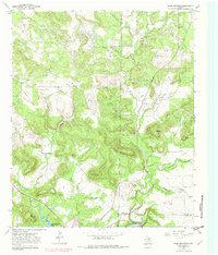 Download a high-resolution, GPS-compatible USGS topo map for Ross Mountain, TX (1982 edition)
