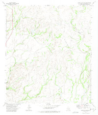 Download a high-resolution, GPS-compatible USGS topo map for Rough Canyon SE, TX (1975 edition)