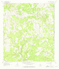 Download a high-resolution, GPS-compatible USGS topo map for Rough Hollow, TX (1975 edition)