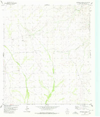 Download a high-resolution, GPS-compatible USGS topo map for Roundhill Ranch, TX (1980 edition)