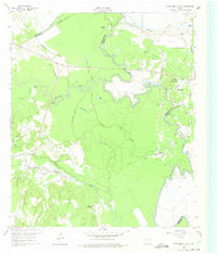 Download a high-resolution, GPS-compatible USGS topo map for Roustabout Camp, TX (1975 edition)