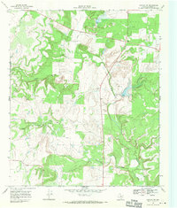 Download a high-resolution, GPS-compatible USGS topo map for Rowden NW, TX (1971 edition)
