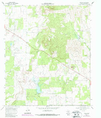 Download a high-resolution, GPS-compatible USGS topo map for Rowden, TX (1987 edition)