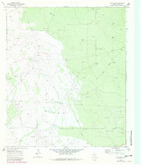Download a high-resolution, GPS-compatible USGS topo map for Rudd Draw, TX (1981 edition)