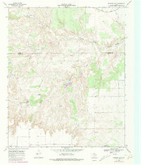 Download a high-resolution, GPS-compatible USGS topo map for Rustler Camp, TX (1981 edition)