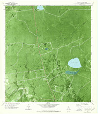 Download a high-resolution, GPS-compatible USGS topo map for Ryanville, TX (1979 edition)