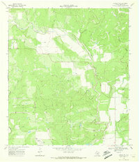 Download a high-resolution, GPS-compatible USGS topo map for Sabinal NE, TX (1972 edition)