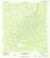 Download a high-resolution, GPS-compatible USGS topo map for Sacatosa Tank, TX (1977 edition)