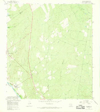 preview thumbnail of historical topo map of Starr County, TX in 1965
