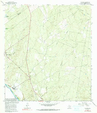 Download a high-resolution, GPS-compatible USGS topo map for Salineno, TX (1990 edition)