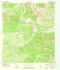 Download a high-resolution, GPS-compatible USGS topo map for Salmon Peak, TX (1977 edition)