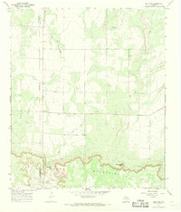 Download a high-resolution, GPS-compatible USGS topo map for Salt Gap, TX (1969 edition)