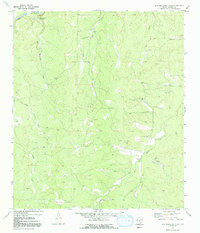 Download a high-resolution, GPS-compatible USGS topo map for San Augustine Draw, TX (1992 edition)