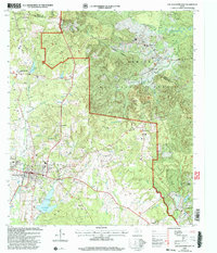 Download a high-resolution, GPS-compatible USGS topo map for San Augustine East, TX (2004 edition)