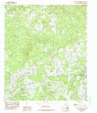 Download a high-resolution, GPS-compatible USGS topo map for San Augustine West, TX (1985 edition)