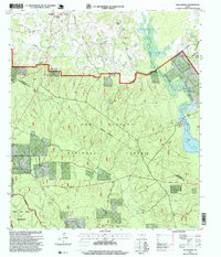 Download a high-resolution, GPS-compatible USGS topo map for San Jacinto, TX (1999 edition)