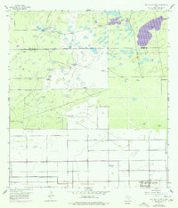 Download a high-resolution, GPS-compatible USGS topo map for San Perlita North, TX (1977 edition)