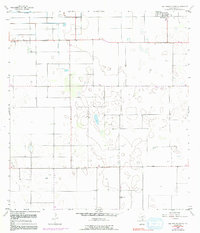 Download a high-resolution, GPS-compatible USGS topo map for San Perlita South, TX (1991 edition)