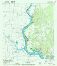 Download a high-resolution, GPS-compatible USGS topo map for San Ygnacio, TX (1980 edition)