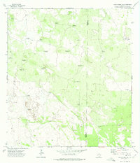 Download a high-resolution, GPS-compatible USGS topo map for Santa Elena NW, TX (1975 edition)