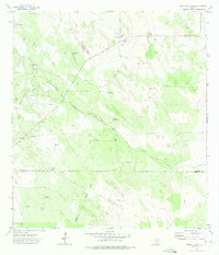 Download a high-resolution, GPS-compatible USGS topo map for Santa Elena SE, TX (1975 edition)