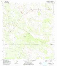 Download a high-resolution, GPS-compatible USGS topo map for Santa Elena SE, TX (1993 edition)