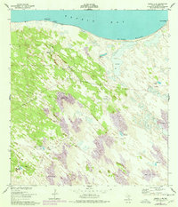Download a high-resolution, GPS-compatible USGS topo map for Sarita 4 NE, TX (1978 edition)