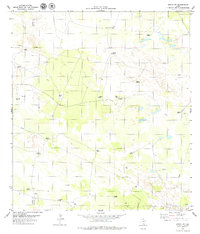 Download a high-resolution, GPS-compatible USGS topo map for Sarita SW, TX (1979 edition)