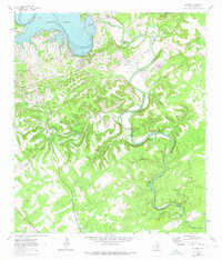Download a high-resolution, GPS-compatible USGS topo map for Sattler, TX (1975 edition)