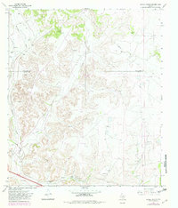 Download a high-resolution, GPS-compatible USGS topo map for Savell Ranch, TX (1982 edition)