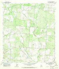 Download a high-resolution, GPS-compatible USGS topo map for Schattel NW, TX (1971 edition)