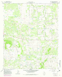 Download a high-resolution, GPS-compatible USGS topo map for Scotland SE, TX (1982 edition)