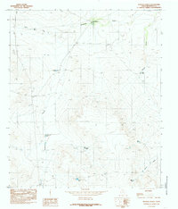 Download a high-resolution, GPS-compatible USGS topo map for Scratch Ranch, TX (1985 edition)