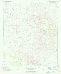 Download a high-resolution, GPS-compatible USGS topo map for Screw Bean Draw West, TX (1976 edition)