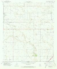 Download a high-resolution, GPS-compatible USGS topo map for Seagraves NW, TX (1974 edition)