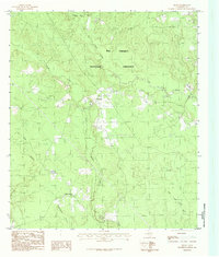 preview thumbnail of historical topo map of Polk County, TX in 1984