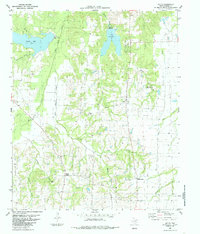 Download a high-resolution, GPS-compatible USGS topo map for Selfs, TX (1985 edition)