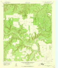 Download a high-resolution, GPS-compatible USGS topo map for Seven Diamond L Canyon, TX (1959 edition)
