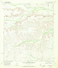 Download a high-resolution, GPS-compatible USGS topo map for Seventeen Ranch, TX (1972 edition)